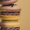 _13A6528 WORKSHOP MACARONS