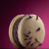 _13A7941 WORKSHOP MACARONS