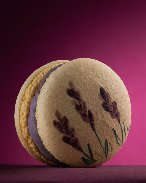 _13A8100 WORKSHOP MACARONS