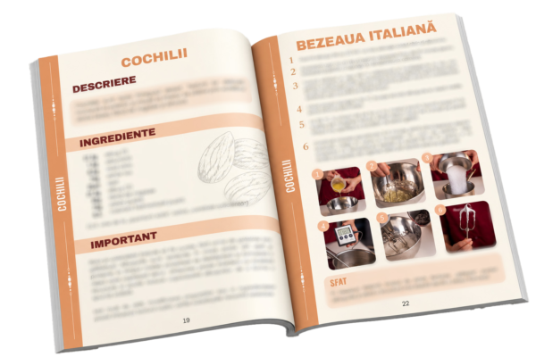 Cochilii-si-bezea-italiana_VEVENT EBOOK MACARONS