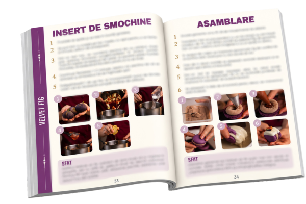 Revista-de-patiserie-Velvet-Fig_-paginile-33–34 EBOOK MACARONS